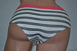 Трусики Lemila katty harom два різновиди Сірі, фото 2