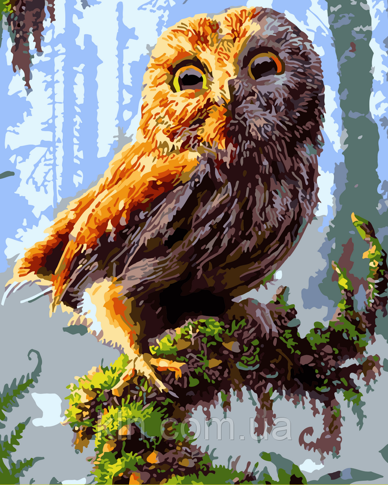 Картина за номерами ArtStory Нічна сова 40 х 50 см (арт. AS0054), фото 1