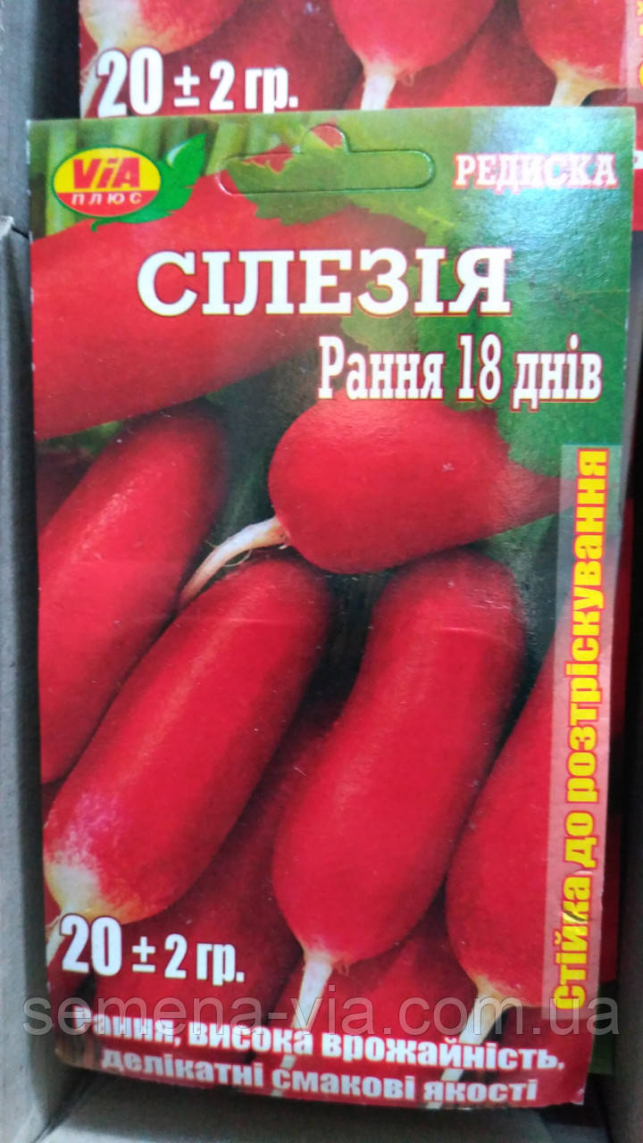 Насіння редису Сілезія (20 грамів) ТМ VIA плюс