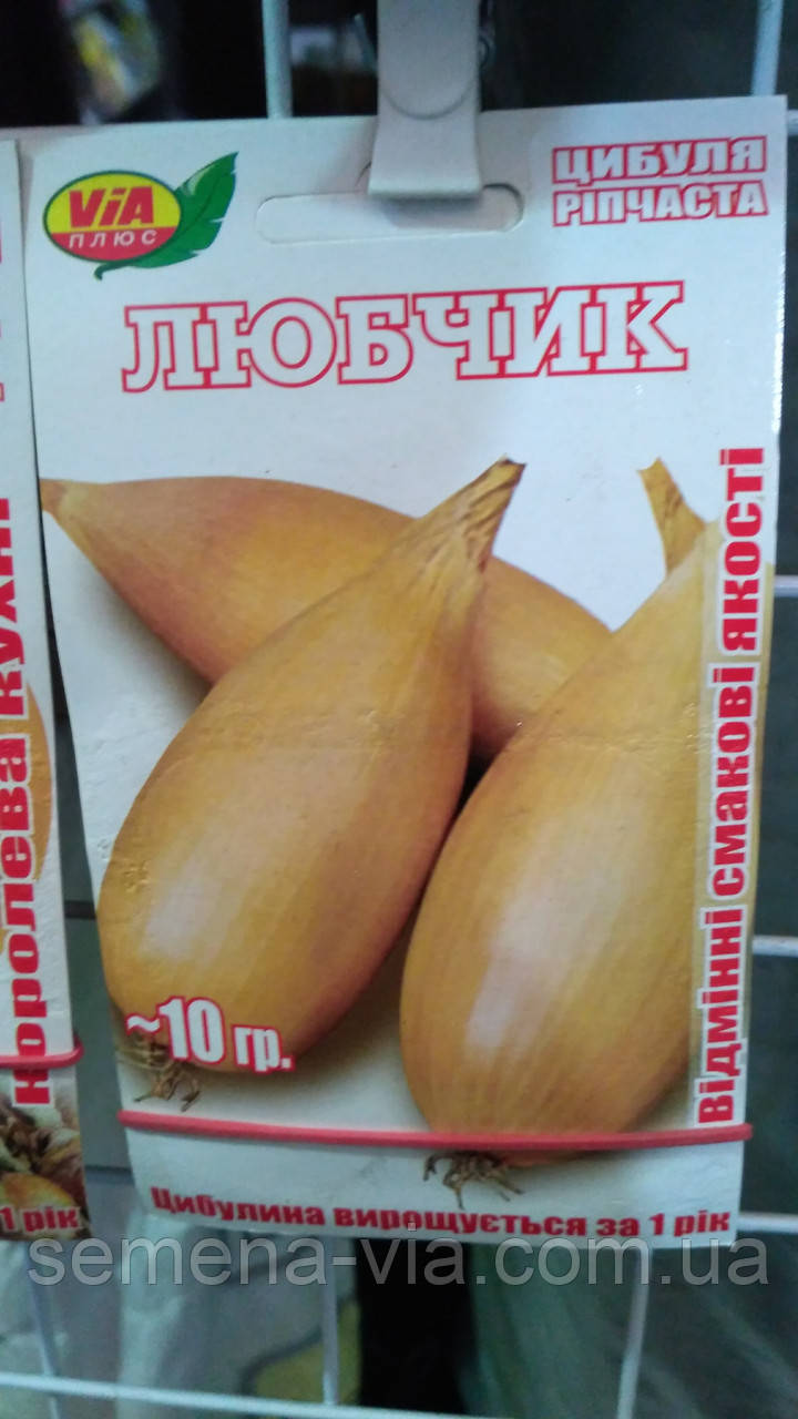 Насіння лука Любовчик (10 г.) ТМ ViA плюс, фото 1