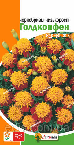 Чорнобривці низькорослі Голдкопфен 0,5 г, насіння Яскрава, фото 2