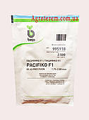 Капуста пекінська Пацифіко F1 (Pacifiko F1) 2500н. до 11/2017