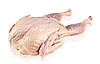 М'ясо цесарки свіжоморожене, (вакуумна упаковка) вага 1,0-1.3 кг, Vip якість, фото 4
