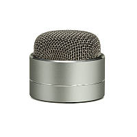 Karaoke, Портативна Bluetooth колонка