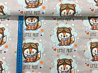 ΠΠΎΠ»ΡΡΡΠΊΠ° Π±ΡΠ·Ρ "Π»ΠΈΡΠΈΡΠΊΠ°-ΠΏΡΠ»ΠΎΡ Π½Π° ΡΡΡΠΎΠΌΡ", ΡΠΎΡΠΎ 2