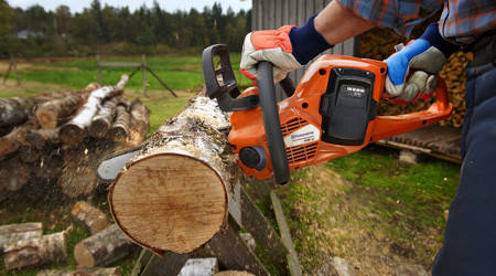 Ланцюгові пилки