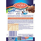 Порошок для приготування морозива Lody domowe Cykoria шоколадного 60 г., фото 2