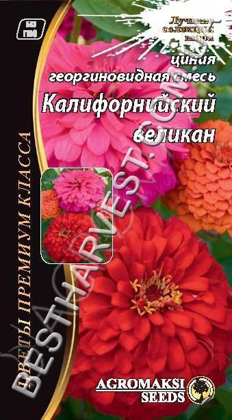 Насіння квітів Цинія «Каліфорнійський велетень» суміш 0.3 грам