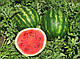 Насіння кавуна Талісман F1, 1000 насінин, Nunhems, фото 3