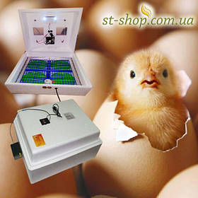 Інкубатори з автоматичним переворотом