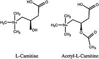 Що таке Л-карнітин? Як приймати?