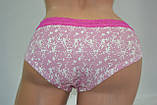 Труси Lemila katty harom два різновиди Малинові, фото 2
