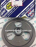 3918777/3917328/3907677 Шестерня розподільчого валу Cummins 6C/6CT/6CTA, фото 4