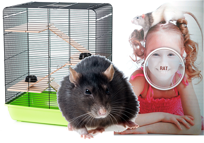 Клітки для щура InterZoo (Польща)