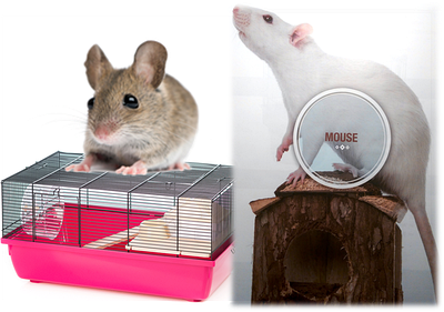 Клітка для мішею InterZoo (Польща)