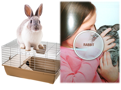 Клітка для кролика InterZoo (Польща)