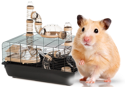 Клітки для хом'ячка InterZoo (Польща)