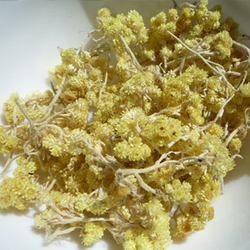 Безсмертник або Цмин пісковий кошики (Бессмертник или Цмин песчаный трава рос.), 50г