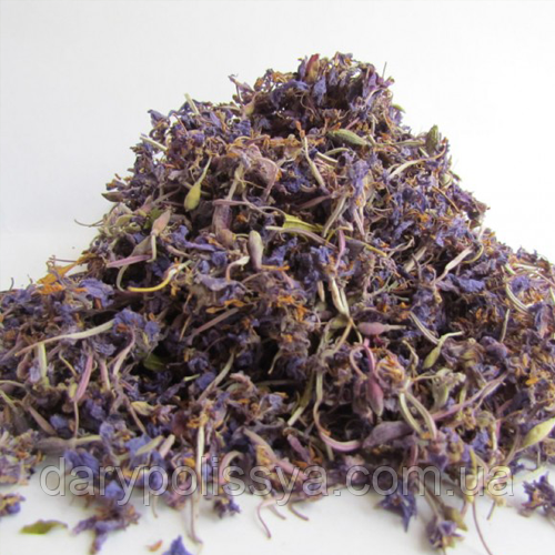 Іван-чай або Кипрій вузьколистий трава (Иван-Чай рос.), 50г, фото 1