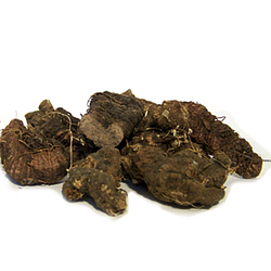 Калган корінь або перстач прямостоячий (Лапчатка прямостоячая рос.), 50г