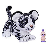 Інтерактивний Білий Тигреня FurReal Roarin' Ivory, The Playful Tiger, фото 2