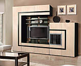 Вітальня Сафо (Майстер Форм) 2550х380х2000мм, фото 2