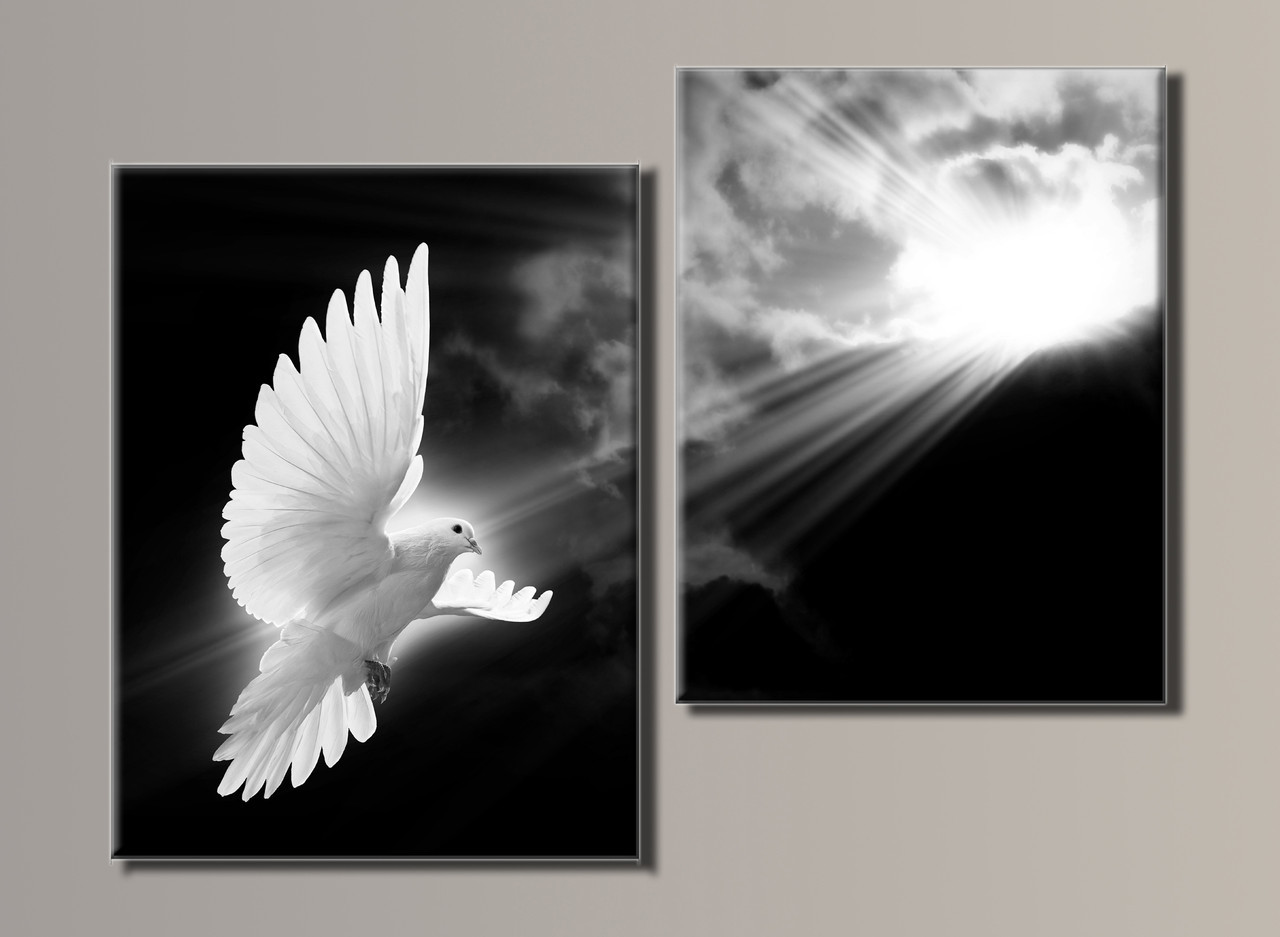 Модульна картина на полотні з 2-х частин "Голуб"