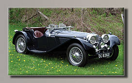 Картина на полотні "Jaguar"