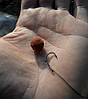 Короповий гачок Вайд Гейп Wide Gape Hook №8, фото 10