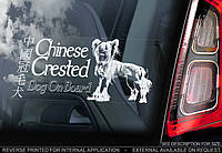 Китайская хохлатая собака стикер