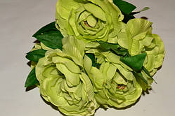 Букет Камелій салатовий
