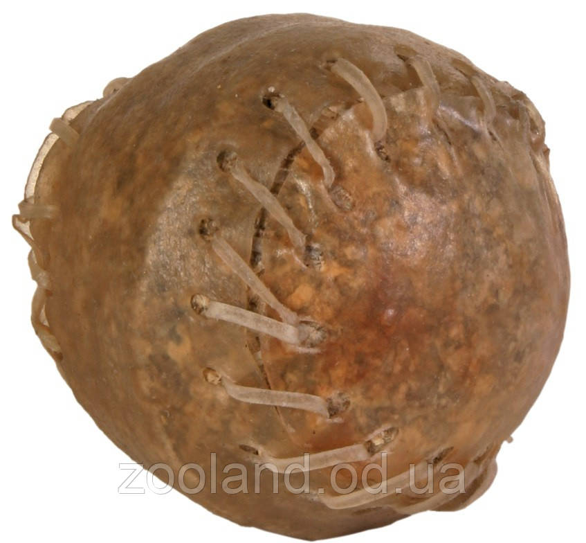 TR2670 Trixie Snack Ball м'яч із сиром'ятної шкіри, 4,5 см/1 шт.