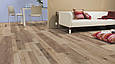Kaindl K4361 Дуб Farco Trend 4V ламінат, колекція Elegant, фото 2