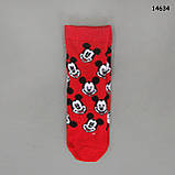 Шкарпетки Mickey Mouse унісекс. р. 25-27, фото 3