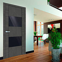 Двери Cortex Deco 03 BG ash line, фото 2