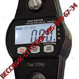 Кранові ваги ВК ЗЕВС I (120 кг), фото 5