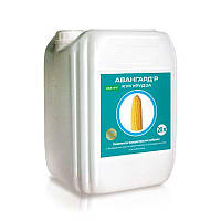 Мікродобриво для кукурудзи Авангард Кукурудза