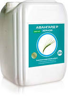 Мікродобриво Авангард Зернові
