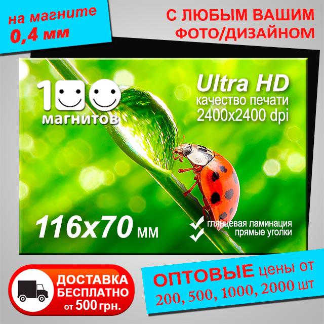 Вінілові магніти на замовлення. Розмір 116х70 мм