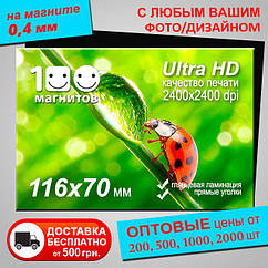 Вінілові магніти на замовлення. Розмір 116х70 мм