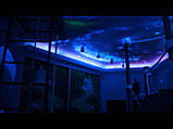 Темно-синій флуоресцентний ультрафіолетовий порошок Noxton, фото 2