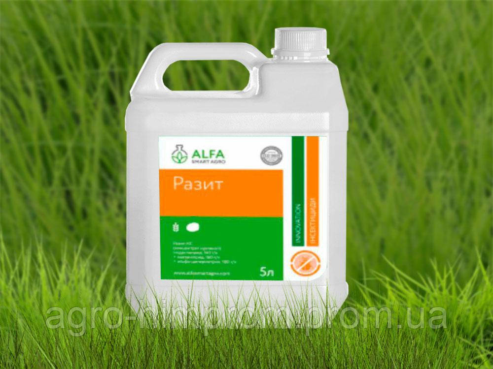 Инсектицид Разыт / Разит; имидаклоприд 140 г/л + ацетамиприд 160 г/л ...