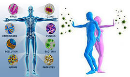  Хронічний бронхіт, обструктивний бронхіт, кашель курця, Колоїдні фітоформули Ad Medicine Арго