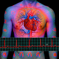 Аритмії, порушення ритму серця лікування Колоїдні фітоформули Арго Ad Med Medicine (серце, судини)