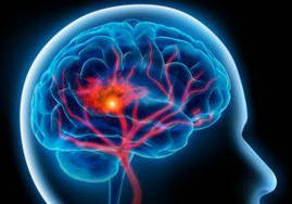 Вітеросудинна дистонія, гіпотонія, кардієнівроз, варикоз Колоїдні фітоформули Арго Ad Medicine