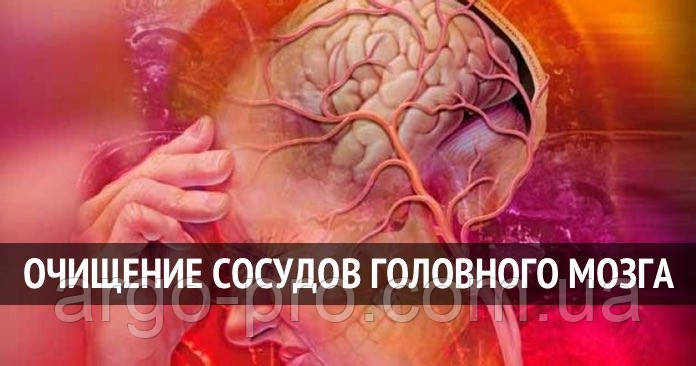 Порушення роботи головного мозку, розумова діяльність, підвищення пам'яті, уваги, живлення клітин мозку   