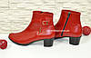 Жіночі класичні шкіряні черевики на стійкому каблуці, колір червоний, фото 3