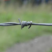 Колючий дріт 2-основний оцинкований 1,8 мм