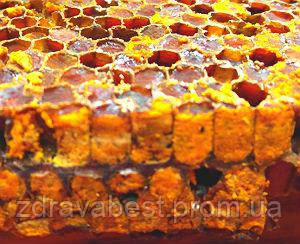 Перга бджолина в сотах із медом (0.5 л)