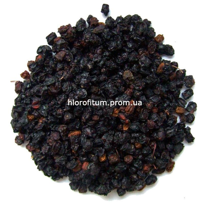 Бузина чорна ягоди 100 грамів (Sambucus nigra)